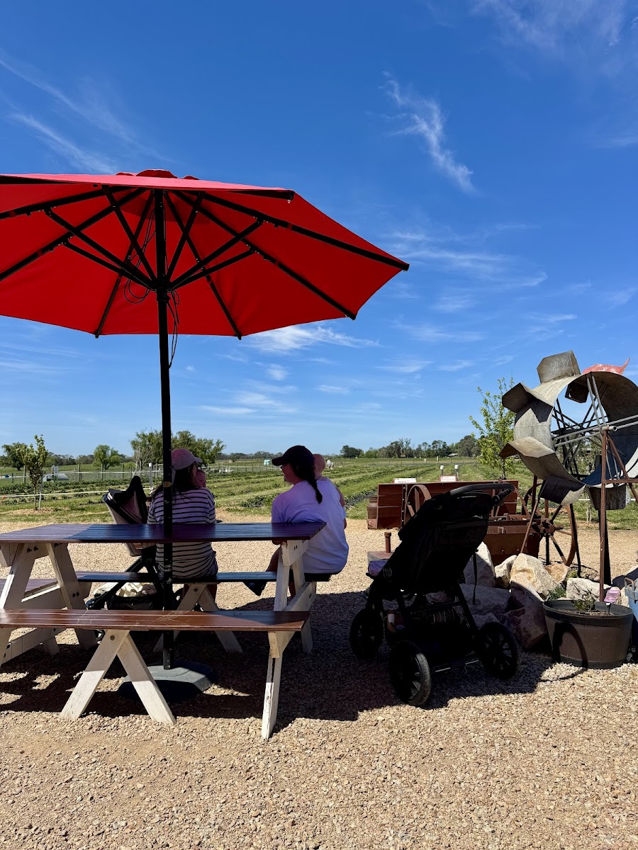 The Berry Dairy