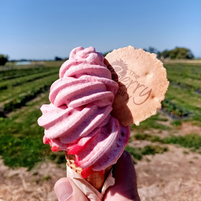 Strawberry Ice Cream Cone