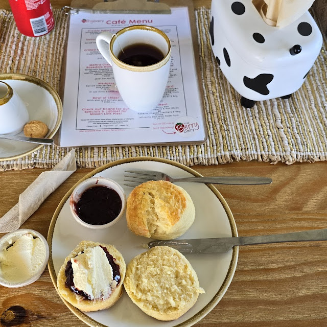 Devonshire Tea with Organic Strawberrie Jam